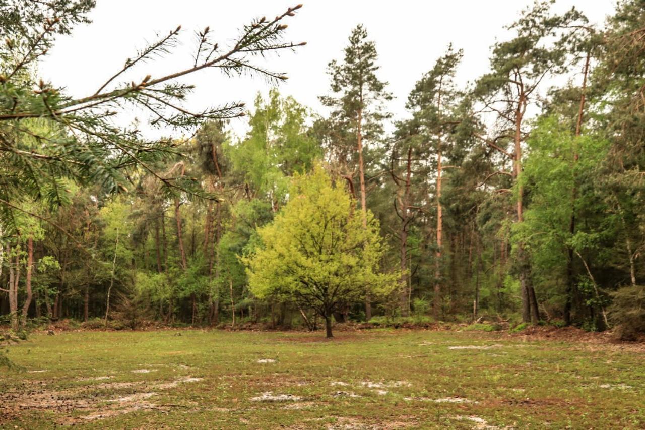 Vakantiehuis De Weeser Enk Epe Zewnętrze zdjęcie